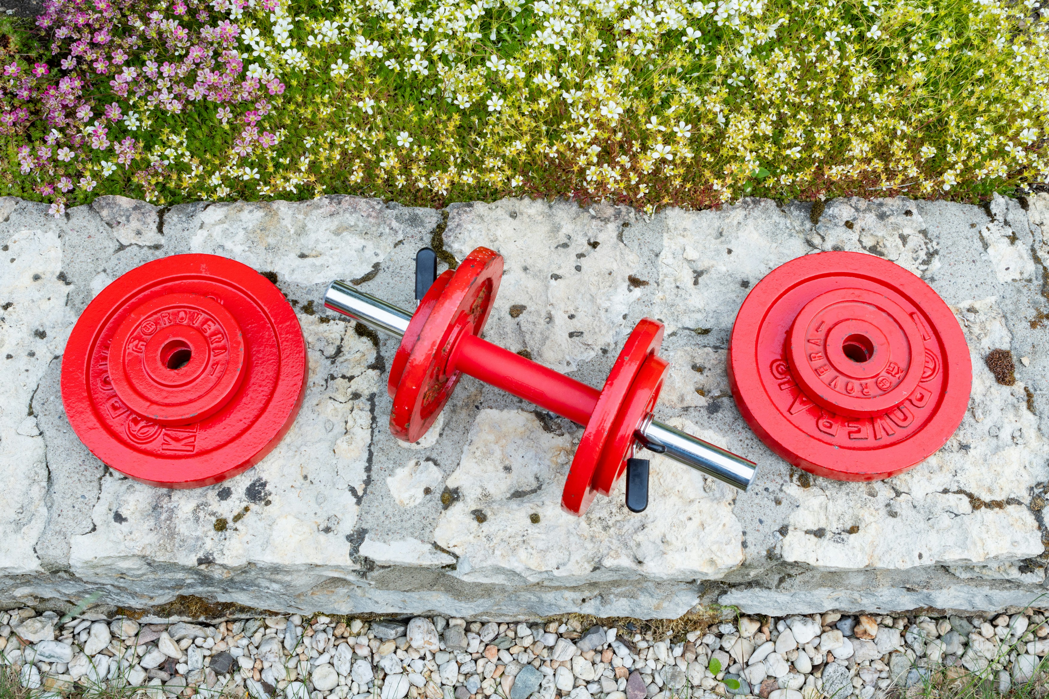 Rote Hantel mit Gewichtsplatten auf Steinmauer. Outdoor-Fitness.