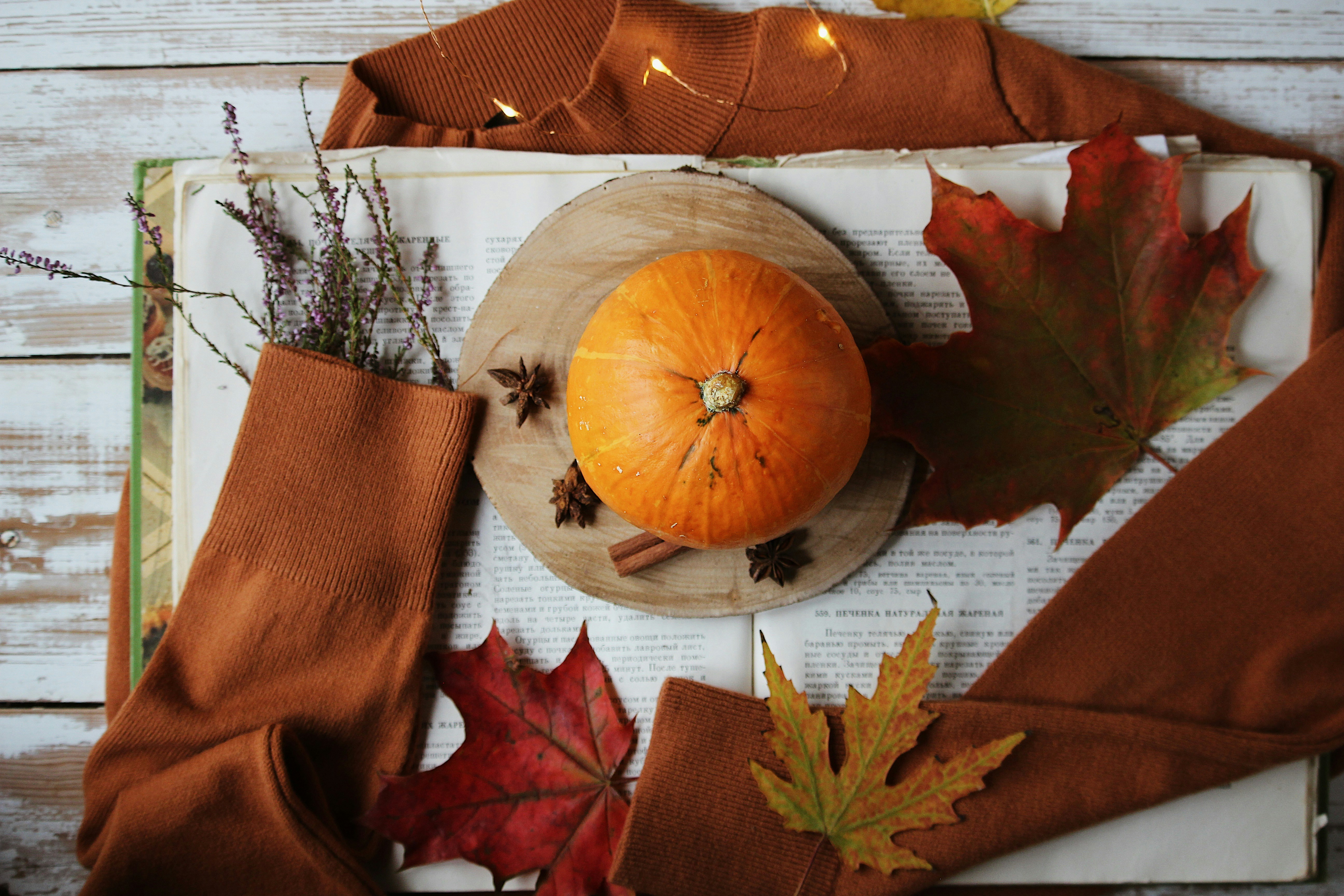 Featured image for “Jetzt wird’s cozy – Herbstliche Dekorationen für ein gemütliches Zuhause”