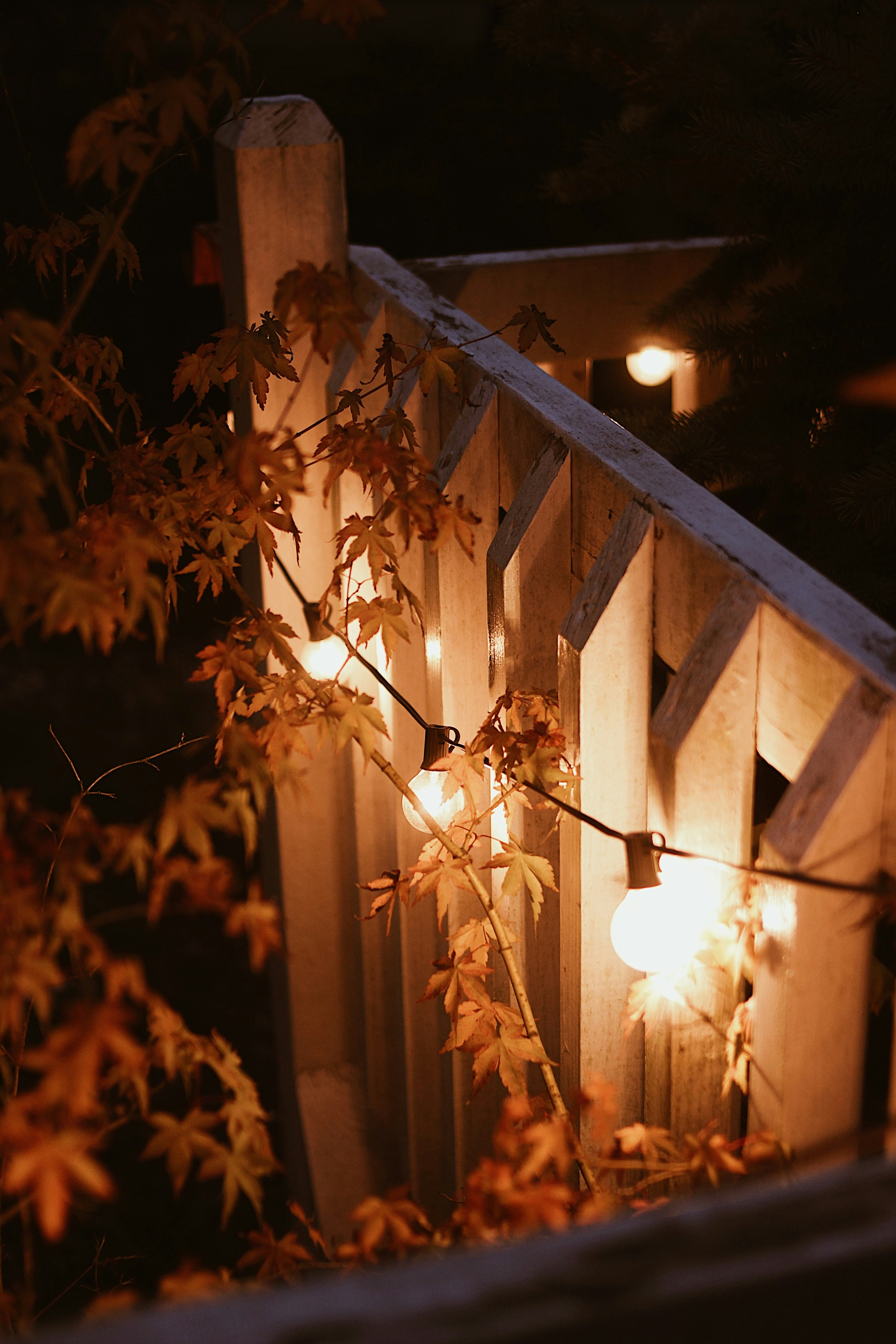 Herbstliche Deko: Lichterkette an einem Holzzaun mit herbstlichen Blättern. Gemütliches Zuhause.